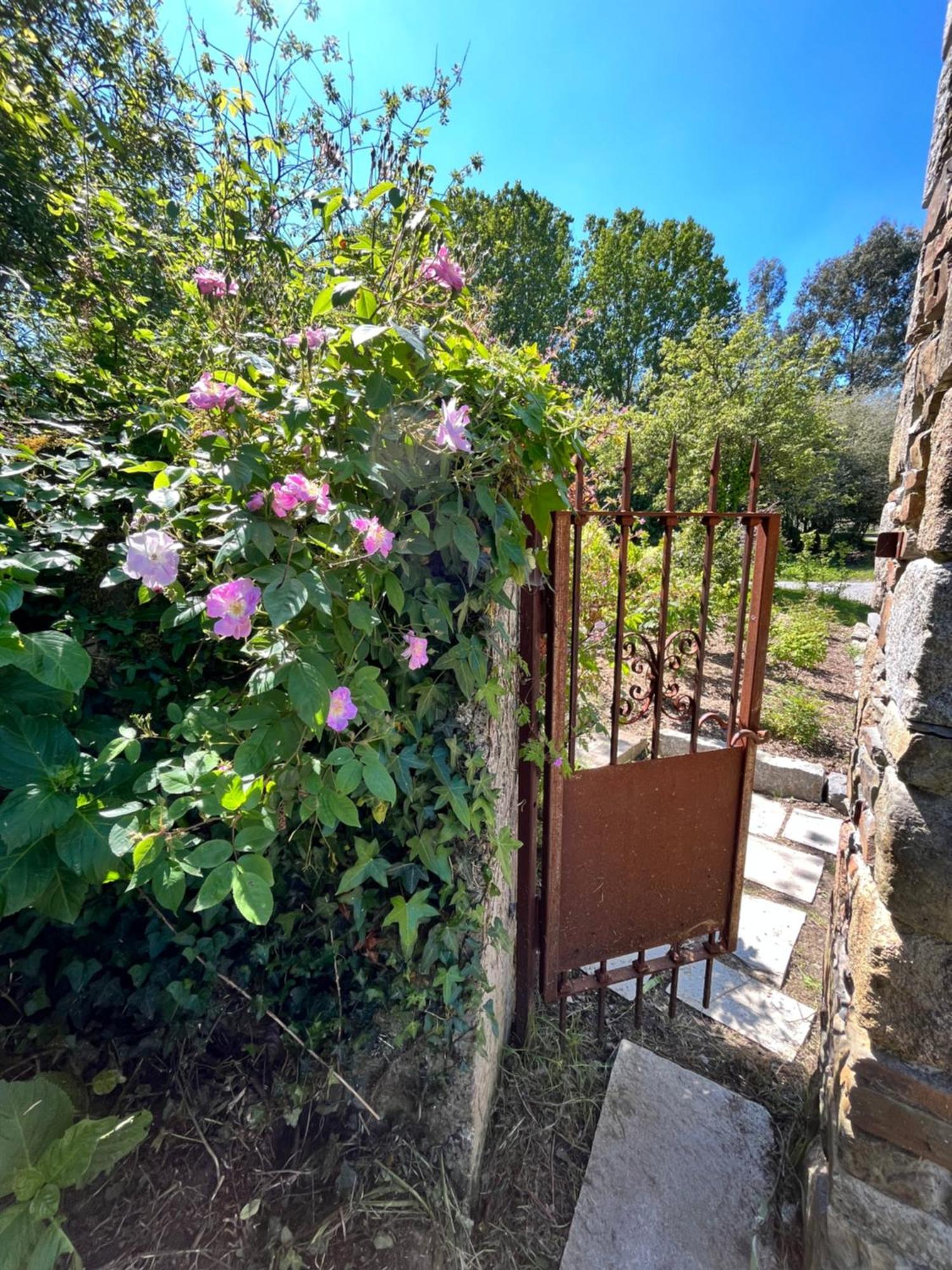 Domaine Du Tertre Ychot Hotel Dol-de-Bretagne Buitenkant foto