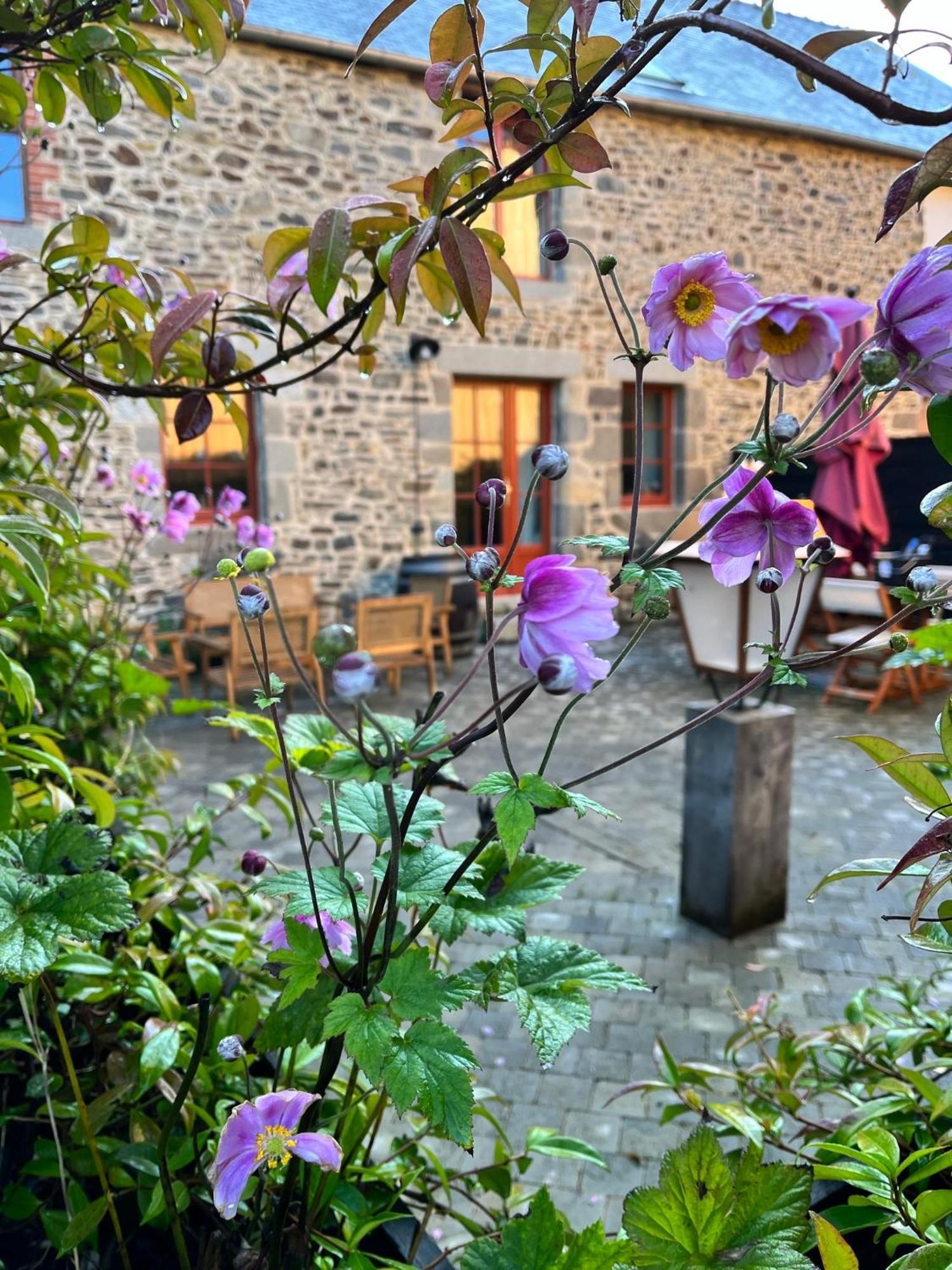Domaine Du Tertre Ychot Hotel Dol-de-Bretagne Buitenkant foto